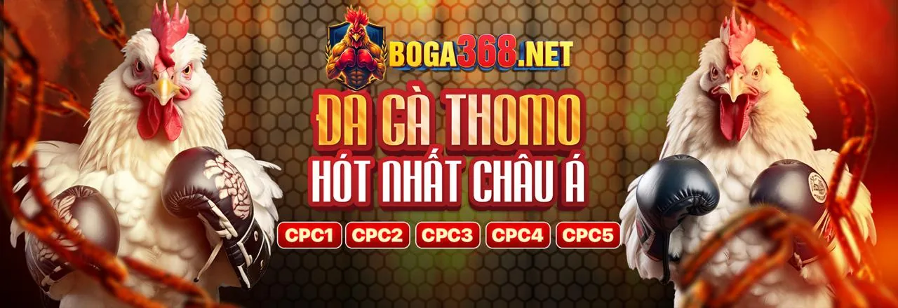 Hướng dẫn toàn diện cho người mới tại cươc8899 nhà cái